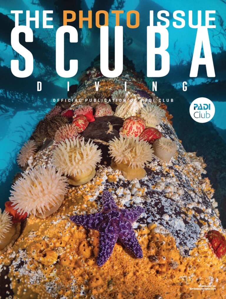 Dive Magazine cover featuring underwater portrait